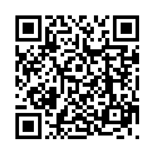 你知不知道我当初为了抓住那几只鬼二维码生成