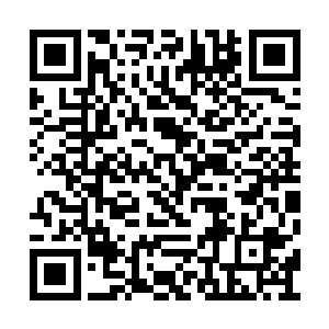 你知道我最大的一个孩子在伦敦每年要花多少钱二维码生成