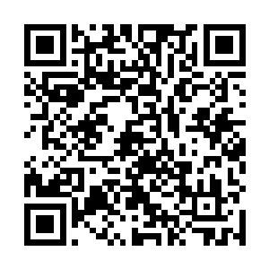 你知道每晚都是一个人抱着被子和空气入睡是多可怜吗二维码生成