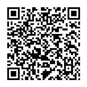 你知道的吧正常点的仙人肯定把好东西自己藏起来对不对诚意一般都指那些宝物二维码生成