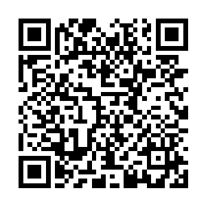 你知道雨果自以为成功之后就根本不听我的劝告吗二维码生成