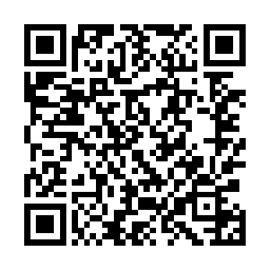 你确定要和拥有如此威武霸气的黄金鞭毛的李叔叔为敌吗二维码生成