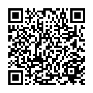你确定这玩意儿让一支冒险团队的人员修为提升了一个小境界二维码生成