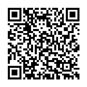 你离开苏家在这里寻求进入天脉的线索如此之久二维码生成