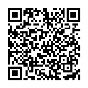 你竟然将你脚下的那条大青虫扔到了我的叶子上二维码生成