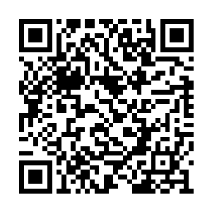 你纪家就能拍着胸脯保证自己能够成为最大赢家二维码生成