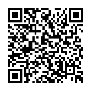 你能不能将整个符阵的变化给我们详细描述一下二维码生成