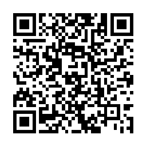 你能不能把我捉到桃木枝上面捆着都还是个问题呢二维码生成