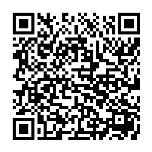 你能说出是哪个会议哪个条文决定不允许政fǔ官员为了发展经济为老百姓担保的二维码生成
