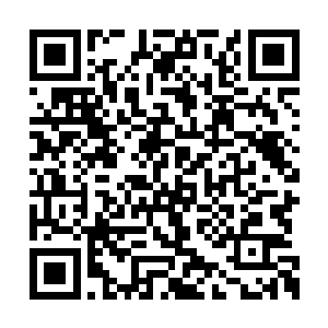 你自己出去打生打死的时候可没见你这么紧张过二维码生成