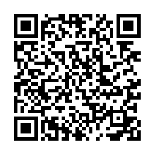你要做的就是将杀气完全融合到五属性灵根之内二维码生成