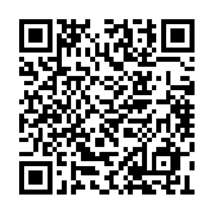 你要妥善处理好这次新地岛袭击事件的后续工作二维码生成