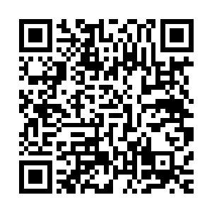 你要怎么样向美国民众解释你拥有那么多钱给我买保险的事情二维码生成