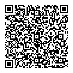 你要是干掉了他他就爆给你看这还真的有点儿狗咬刺猬无处下嘴的感觉啊其实刚刚这次的机甲自爆虽然让江少游多少受了一些伤二维码生成