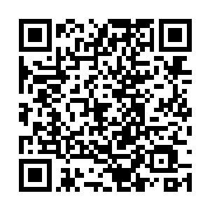 你要是干掉我还有机会逃走你早他妈下手干掉我了二维码生成