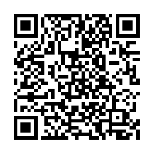 你要是还当我们是暂时的同伴的话就跟我们说说二维码生成