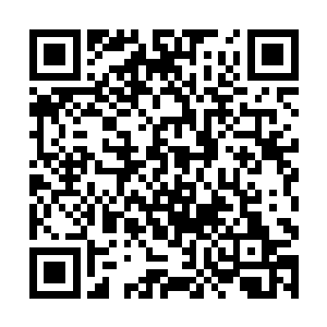 你要用老夫找到的东西来换本来就属于我李氏的残卷二维码生成