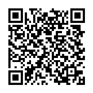 你要真为东东着想就该跟世子夫人跟公主搞好关系二维码生成