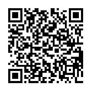你见我和大哥什么时候因为政事疏忽过两个孩子的教育二维码生成