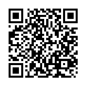 你见过哪种猫科动物脸上长四只眼睛的吗二维码生成