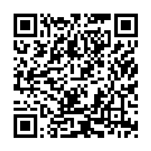 你觉得是不是跟那个我们住过的岛屿酒店有点像二维码生成