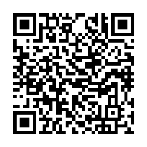 你觉得老身会让你这鬼道的狂徒这么对我的弟子么二维码生成
