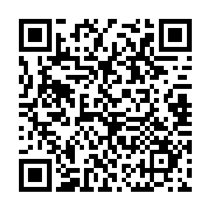 你认为他会把一个可能破坏自己形象的人交给你吗二维码生成