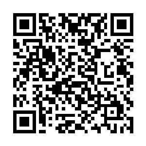 你让他在这种时候接任西塞罗家长之位这会害死他的二维码生成