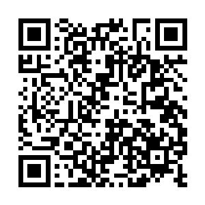 你让叶施主闯浮屠塔的事儿叶施主已经与我说过了二维码生成