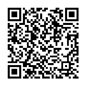 你该进入符咒世界吞噬蚂蚁魔兽王的元神和内丹了二维码生成