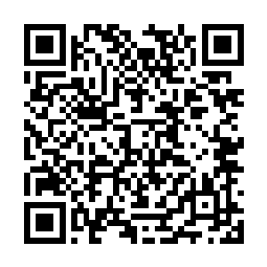 你说……这个浩渺宇宙中真的有绝对完美的世界吗二维码生成