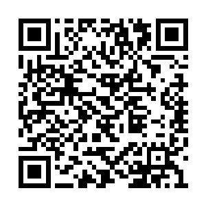 你说为夫将那血珠拿回来后该给为夫什么奖励呢二维码生成