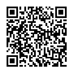 你说他给你收集炼器材料的那些渠道会不是就是来自妖族二维码生成