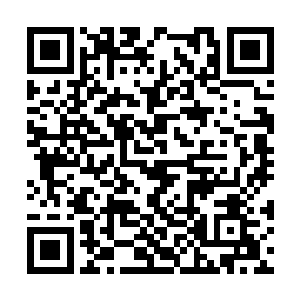 你说咱们要不要把罗严叔叔死在这里的消息说出去二维码生成