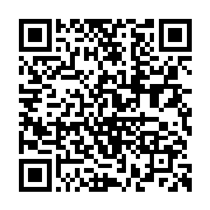 你说的这些话我一点都没有怀疑你是在套我的话二维码生成