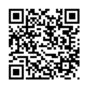 你说这建木需要多久才能够长起来啊二维码生成