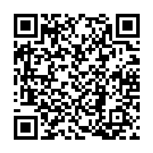 你走到路口的时候怎么不知道先停下来看看情况呢二维码生成