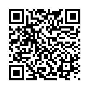 你跟沙老鬼学了这么几天就回来了二维码生成