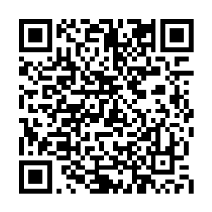 你还是叫我秦青吧……以前的身份我早已经忘了二维码生成