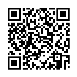 你还真以为姐姐我就只是在这里玩呀二维码生成