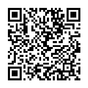 你还让我们这些同样来自西方大陆的骑士们怎么活啊二维码生成