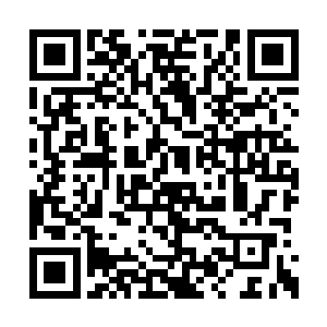 你还记得那批船员第一次为什么能逃脱的原因吗二维码生成