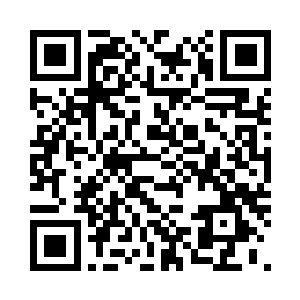 你这个当爹的不会真的要王虎截肢吧二维码生成