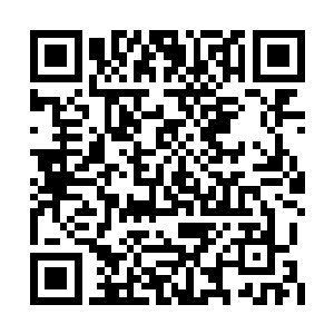 你这个时候回国是否与昨日发生的恐怖袭击有关二维码生成