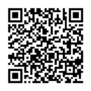 你这个月的月信好像没有来吧……你是不是……二维码生成