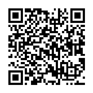 你这也是要神不知鬼不觉地将我们的那一批肉再换回来二维码生成