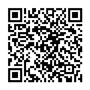 你这剑术可是连如今全国剑术总教头都无法媲美的存在二维码生成