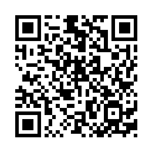 你这是对我们一百五十个国家人权的践踏二维码生成