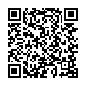 你这次好像真的遇上麻烦了……那个……苏佳怡还没有死二维码生成