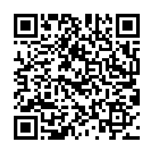 你这种快死的节奏是因为你一次次的溜号才造成的啊~二维码生成